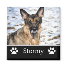 黒パーソナライズされたPetフォト磁石