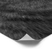 黒ヒョウ ポスター (角)