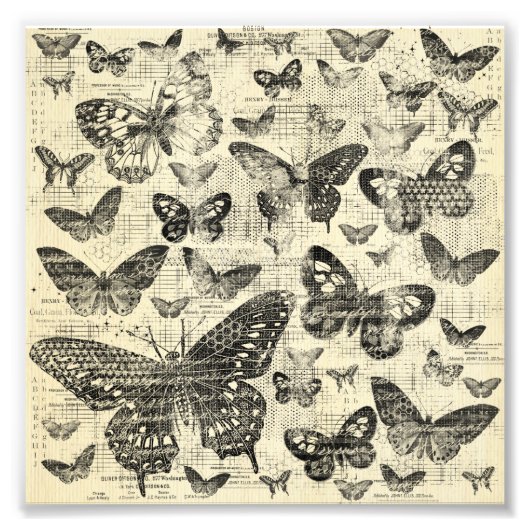 黒ベージュ、蝶、ヴィンテージ、みすぼらしいシック、パテ フォトプリント            (正面)