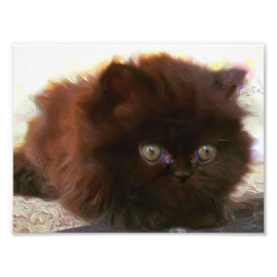 黒ペルシャ猫 フォトプリント