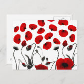 黒モダンと赤の花と花びら ポストカード (正面/裏面)