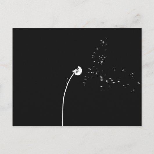 黒モダンミニマルと白のタンポポ花 ポストカード (正面)