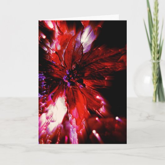 黒ユニークのクリスマスカードに赤 シーズンカード (正面)