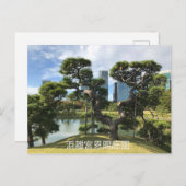 黒ユニーク松 ポストカード (正面/裏面)