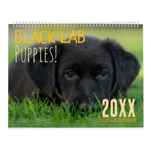黒ラブラドゥードル子犬 ラブラドール カレンダー (カバー)