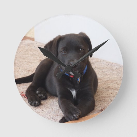 黒ラブラドールレトリバー子犬 ラウンド壁時計 (正面)