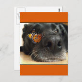 黒ラブ犬と蝶 ポストカード (正面/裏面)