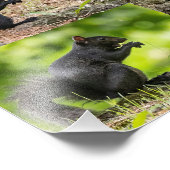 黒リスのコラージュ フォトプリント            (角)