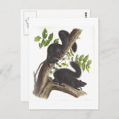 黒リス ポストカード (正面/裏面)