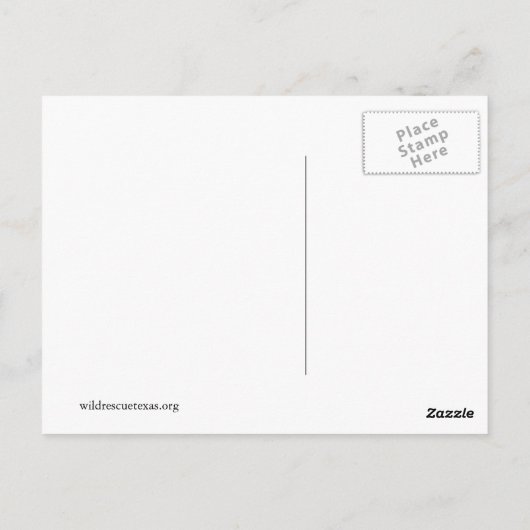 黒リス ポストカード (裏面)