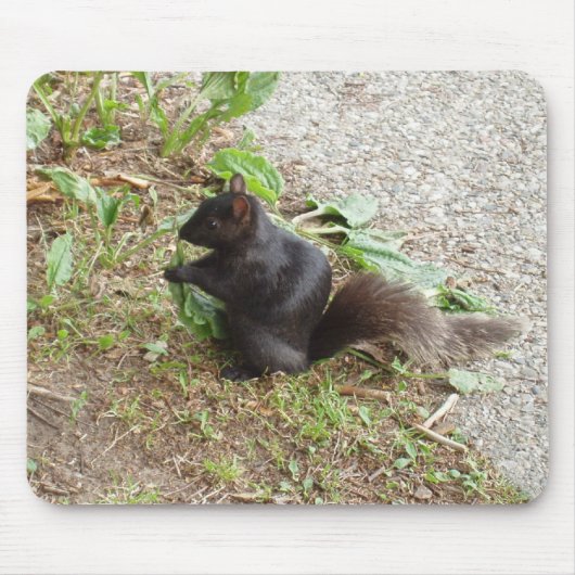 黒リス マウスパッド (正面)