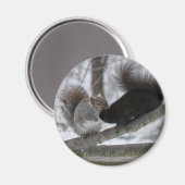 黒リス マグネット (正面/裏面)