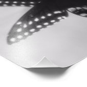 黒一蝶と白一蝶の写真 フォトプリント (角)