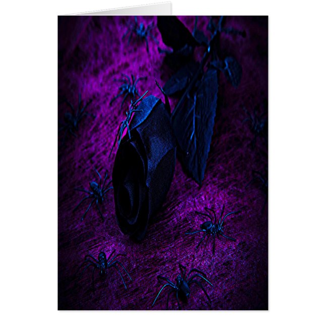 黒不気味材バラ黒クモ (正面)