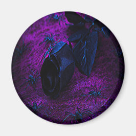 黒不気味材バラ黒クモ マグネット