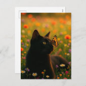 黒不気味猫ハロウィーン壁紙 – 2025夜！ シーズンポストカード (正面/裏面)