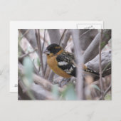 黒丸はがき ポストカード (正面/裏面)