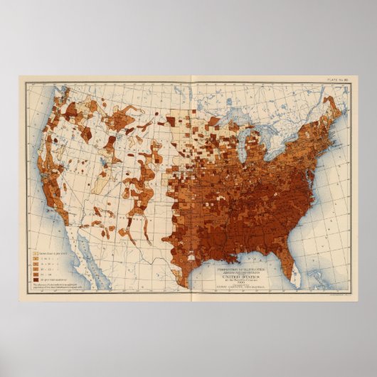 黒人の有権者の80パーセントは読み書きできない ポスター (正面)