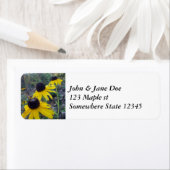 黒人スザン ラベル (インサイチュ)