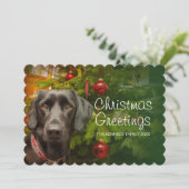 黒人女性ラブラドールリトリーバー シーズンカード (スタンド正面)