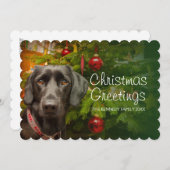 黒人女性ラブラドールリトリーバー シーズンカード (正面/裏面)