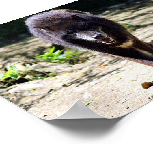 黒人狼 ポスター (角)