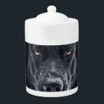 黒人羊飼い<br><div class="desc">黒人羊飼い</div>