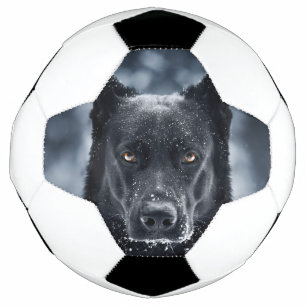 黒人羊飼い サッカーボール