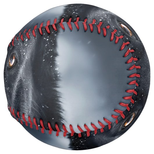 黒人羊飼い ソフトボール (正面右)