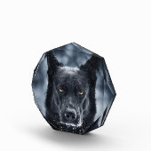 黒人羊飼い フォトブロック (右)