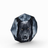 黒人羊飼い フォトブロック (左)
