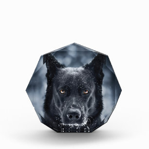 黒人羊飼い フォトブロック