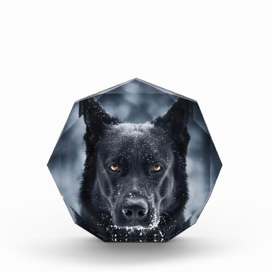 黒人羊飼い フォトブロック (正面)