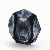 黒人羊飼い フォトブロック (右)