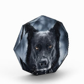 黒人羊飼い フォトブロック (左)