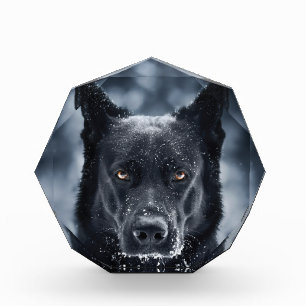 黒人羊飼い フォトブロック
