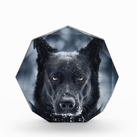黒人羊飼い フォトブロック (正面)
