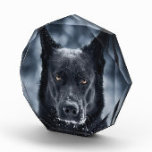黒人羊飼い フォトブロック (右)