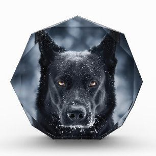 黒人羊飼い フォトブロック