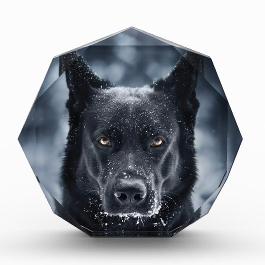 黒人羊飼い フォトブロック (正面)