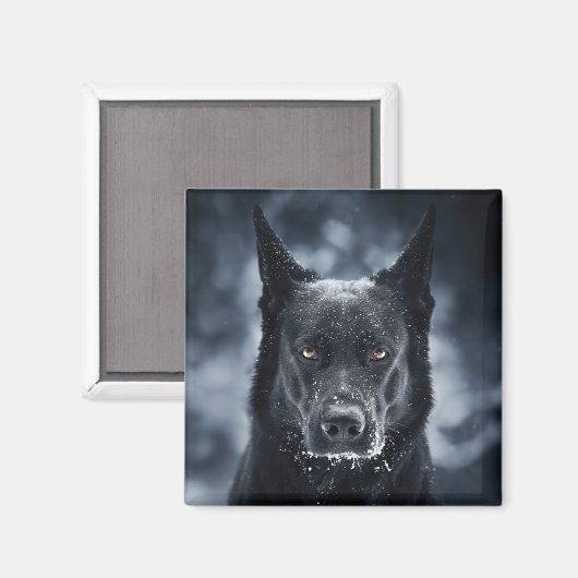 黒人羊飼い マグネット (正面/裏面)