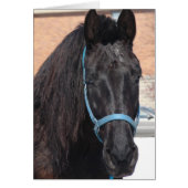 黒人美しい (正面)