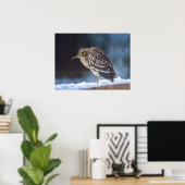 黒冠のナイトヘロン ポスター (ホームオフィス)