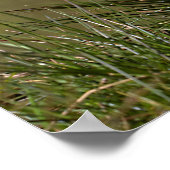 黒冠クレーン ポスター (角)