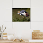 黒冠クレーン ポスター (キッチン)