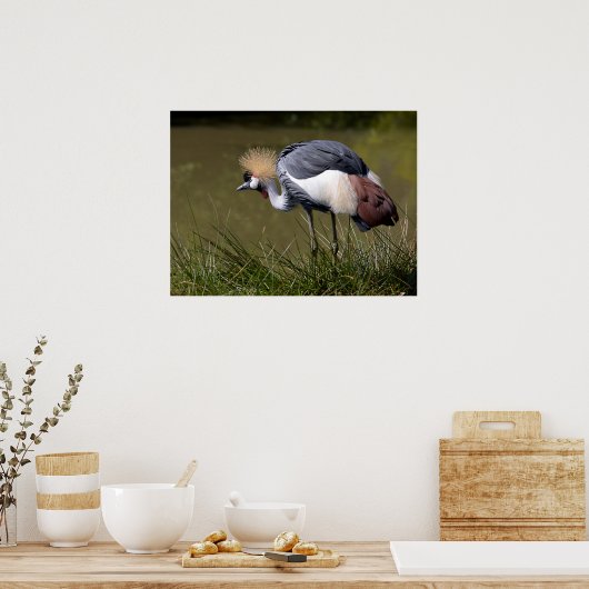 黒冠クレーン ポスター (キッチン)