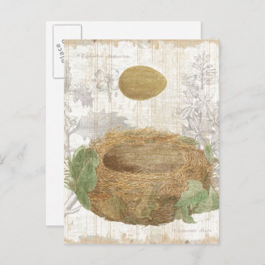 黒卵の鳥の巣 ポストカード (正面/裏面)