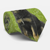 黒及びタンGSDの子犬 ネクタイ (ロール)