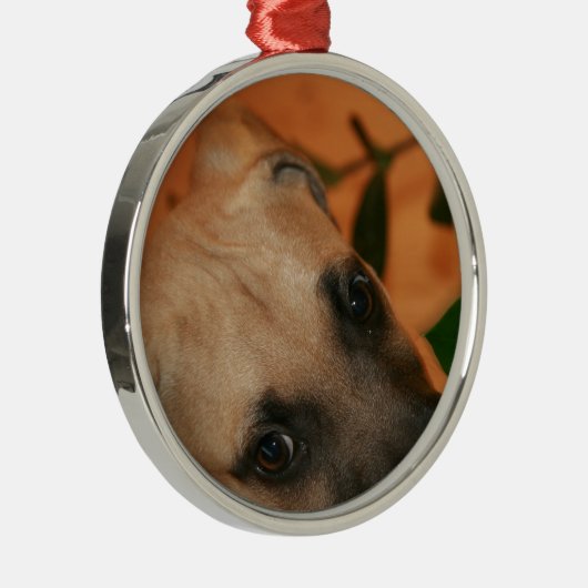 黒口の野良犬の子犬 メタルオーナメント (右)