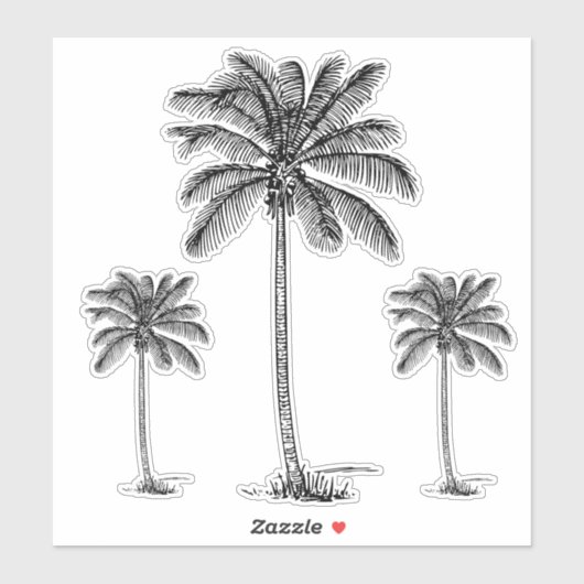 黒名門私立校風の色の海岸沿いのヤシの木 シール (シート)